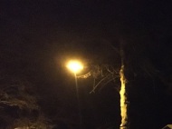 die dunkle Nacht wird durch eine runde, gelbe Straßenlampe erleuchtet